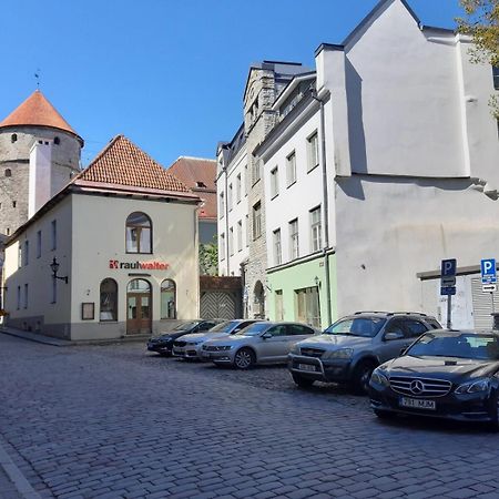 Tallinnhousing Knights And Nobility -3 Bdr Home 외부 사진